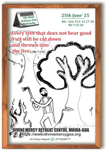 Scripture for the Day - 25th June 2025